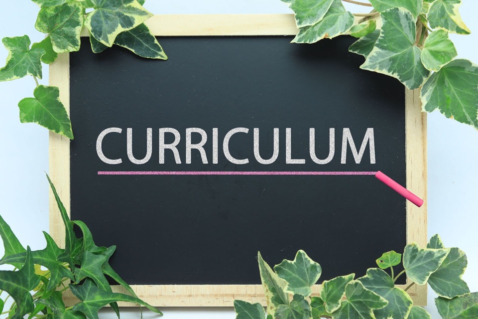 葉に囲まれたカリキュラムの黒板